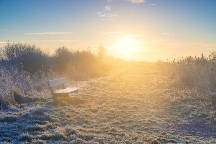 Winter, Landschapsfotografie, Fryske Gea, Taede Smedes